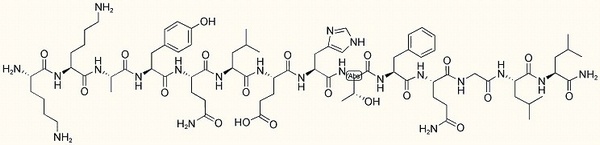 Endokinin C