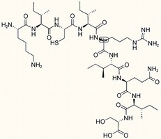 IL-1 Receptor Peptide