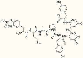 PDGF Beta-Receptor (739-746) (phosphorylated)