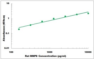 Rat MMP8 ELISA Kit