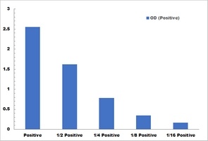Alpha-Amylase Activity Colorimetric Microplate Assay Kit