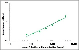 Human P-Cadherin ELISA Kit