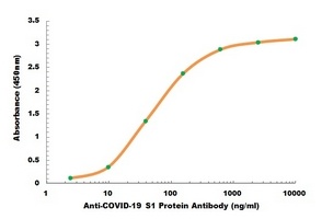 COVID-19 S1 Protein Antibody