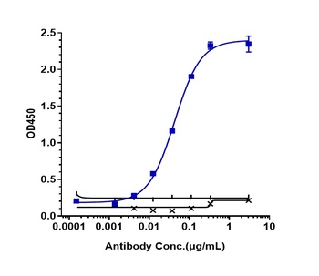 ERBB3/HER3 Antibody (DXD)