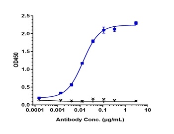 FOLR1/FRA Antibody (MMAE)