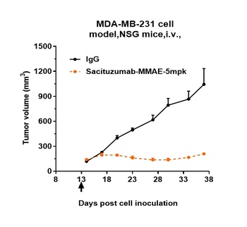 TROP2 Antibody (MMAE)