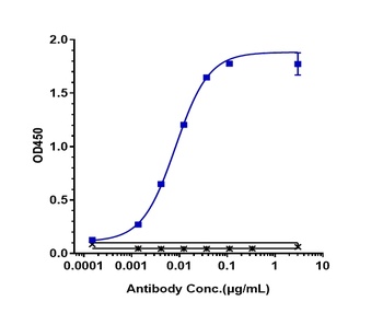 ERBB2/HER2/CD340 Antibody (MMAE)