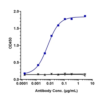 CEACAM5/CEA/CD66e Antibody (MMAE)