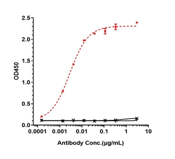 ROR1 Antibody (MMAE)
