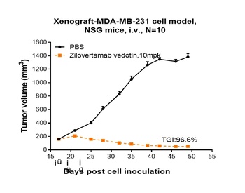 ROR1 Antibody (MMAE)