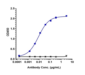Siglec-2/CD22 Antibody (MMAE)