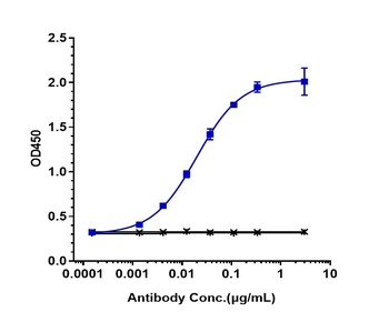 Anti-CD19 Reference Antibody (denintuzumab-MMAF)