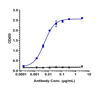 CD79b Antibody (MMAE)