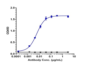 TNFRSF8/CD30 Antibody (MMAE)