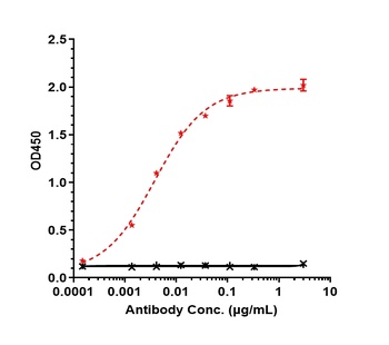 Nectin-4 Antibody (MMAE)
