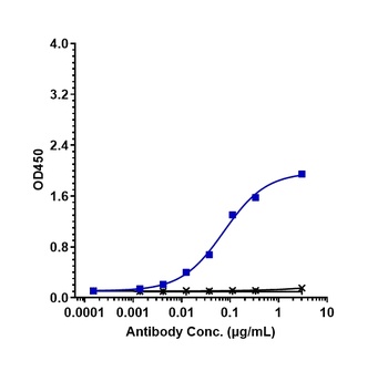 CLDN6/CLD6 Antibody