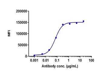 CDH17/Cadherin-17 Antibody