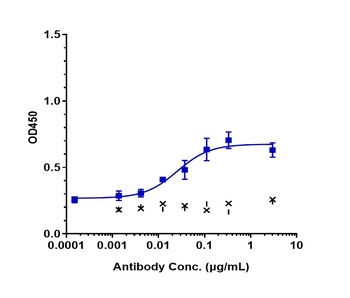 A2AR/AA2AR/ADORA2A/ADORA2 Antibody