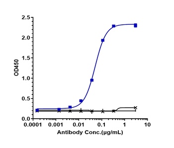 TSLP Antibody