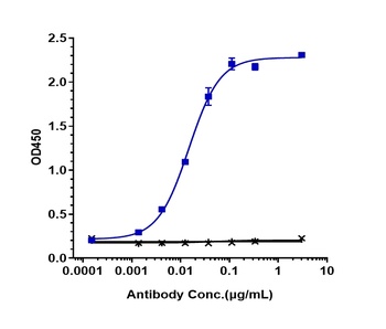 IFNAR1 Reference Antibody