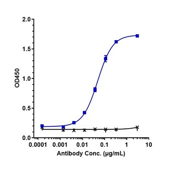 CTLA-4 / CD152 Reference Antibody