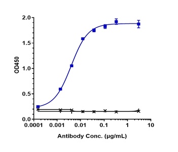 VEGFC Antibody