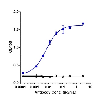IL-33 Antibody