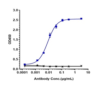 Siglec-2/CD22 Antibody