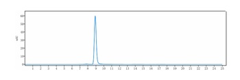 Complement C5 Antibody