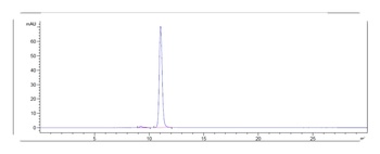 NT5E/CD73 Antibody