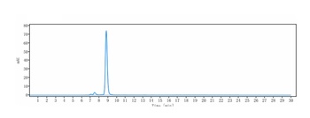 FcRn (FCGRT & B2M) Antibody