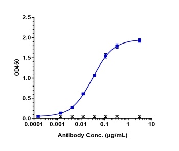 FcRn (FCGRT & B2M) Antibody