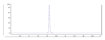 IL-6/IFNb2 Antibody