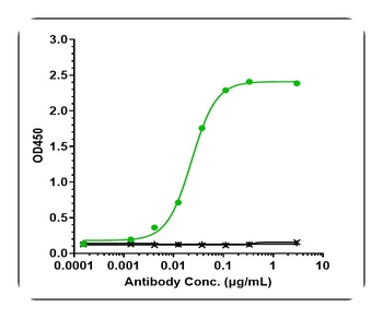 IL-6/IFNb2 Antibody