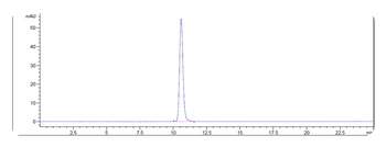 IL-6/IFNb2 Antibody