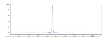 IL-6/IFNb2 Antibody