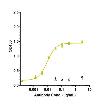 IL-6/IFNb2 Antibody