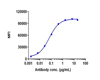 CD20 Antibody
