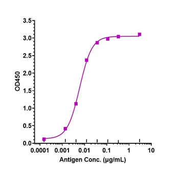 PTPRC / CD45 Reference Antibody