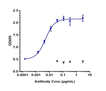 FcRn (FCGRT & B2M) Antibody