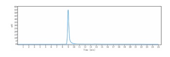 IGF1-R/IGFR1/CD221 Antibody