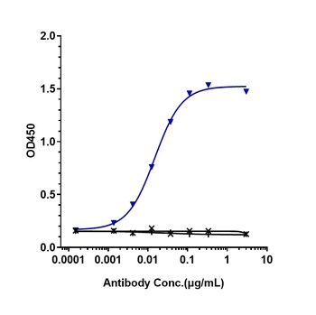 IgE Antibody
