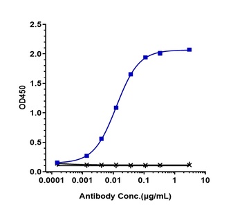 B7-H3/CD276 Antibody
