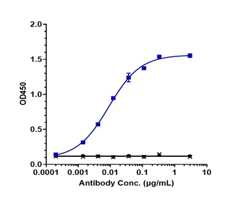 ERBB3/HER3 Antibody