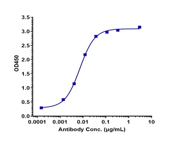 IFNg Antibody