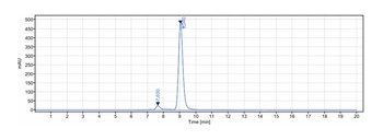 IL-17/IL-17A/CTLA-8 Antibody