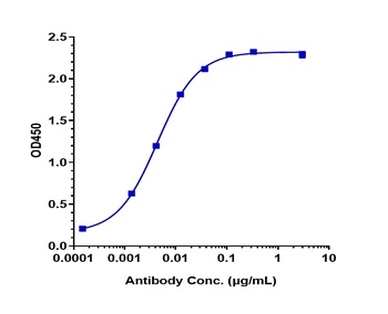 CTLA-4/CD152 Antibody