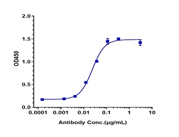 Complement Factor D Antibody
