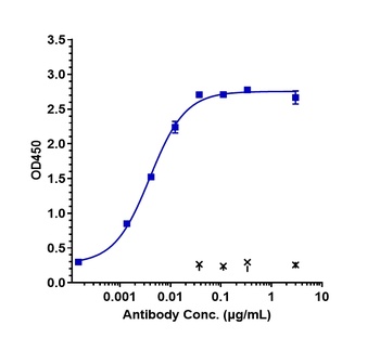 DLL4 Antibody