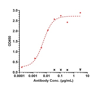 IL-12b Antibody